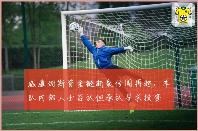 威廉姆斯资金链断裂传闻再起，车队内部人士否认但承认寻求投资